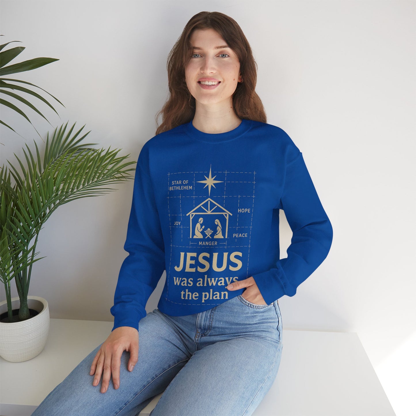 Jesus Was Always the Plan Sweatshirt
