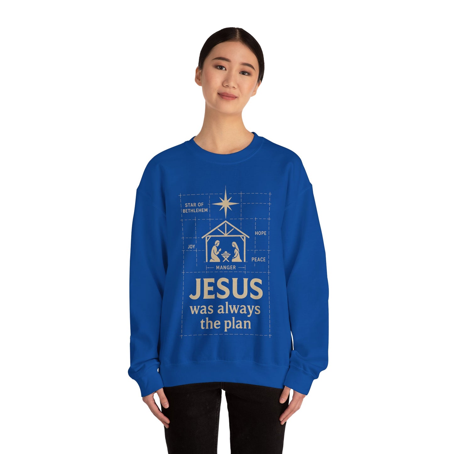 Jesus Was Always the Plan Sweatshirt